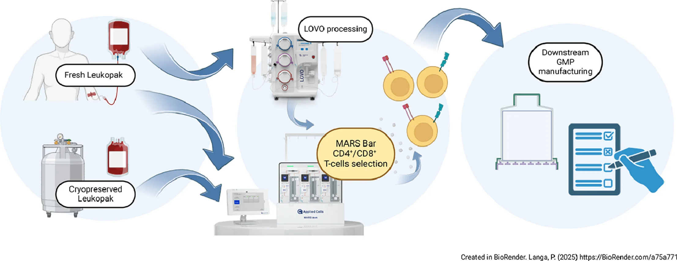 2025 Cytotherapy publication MARS Applied Cells