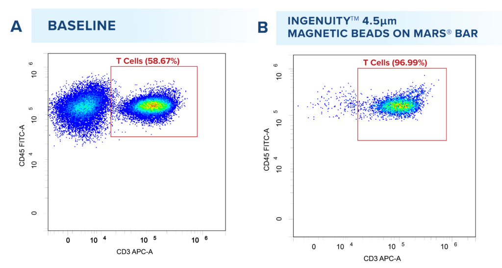 CD3/CD28+ T cell Isolation - Applied Cells
