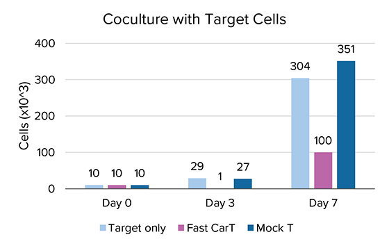 MARS Atlas blog rapid Cell Therapy Coculture with Target cells-04