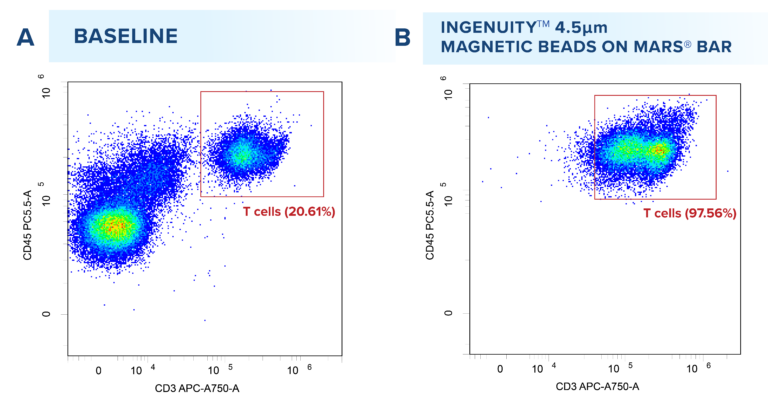 CD3/CD28+ T cell Isolation - Applied Cells